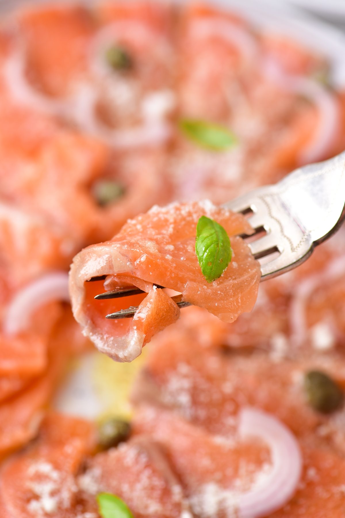 Salmon carpaccio
