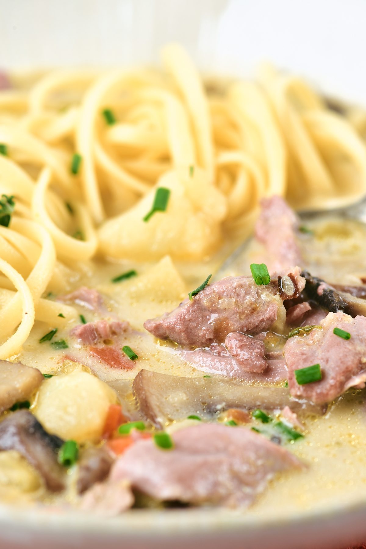 Duck noodle soup